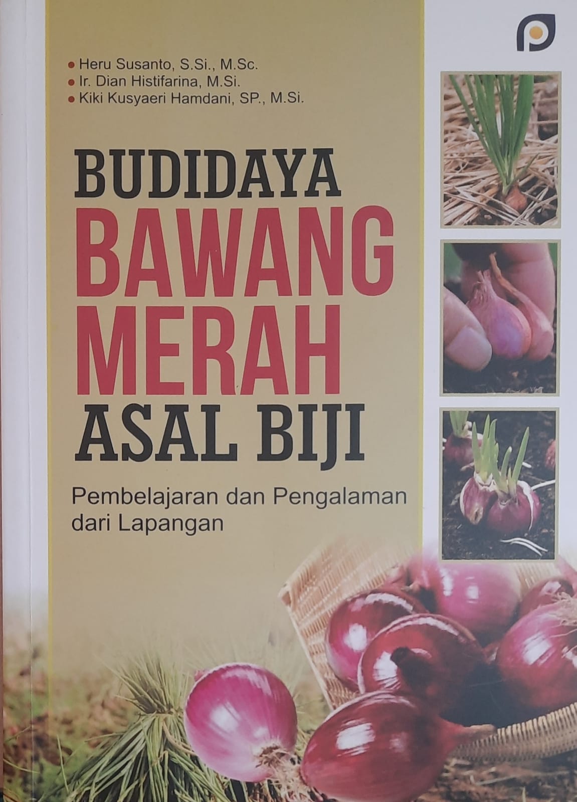 Budidaya Bawang Merah Asal Biji